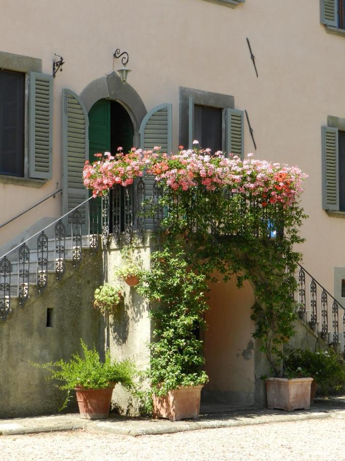 Vivarelli * Arezzo